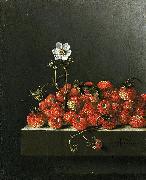 Adriaen Coorte Still life with wild strawberries. oil